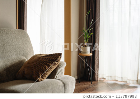 有室內植物的房間的風景 有室內植物的房間的風景 115797998