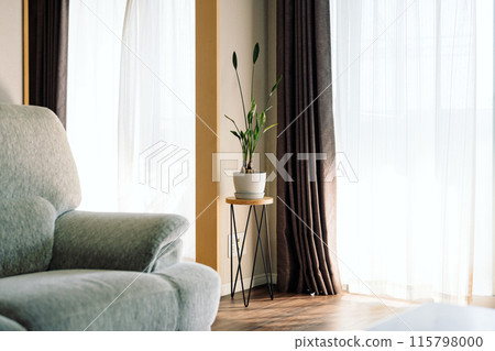 有室內植物的房間的風景 有室內植物的房間的風景 115798000