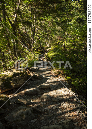 山梨縣南阿爾卑斯市通往北岳白根禦池的山路 115798402