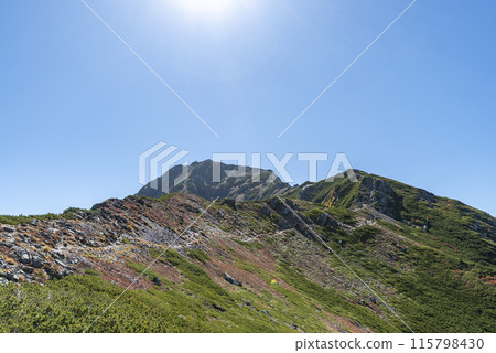 Mount Kita seen from the hiking trail, Minami-Alps City, Yamanashi Prefecture Mount Kita seen from the hiking trail, Minami-Alps City, Yamanashi Prefecture 115798430