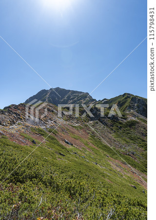 從山梨縣南阿爾卑斯市的山路看到的北岳 從山梨縣南阿爾卑斯市的山路看到的北岳 115798431