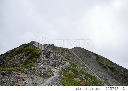 Hiking trail leading to Mt. Nakashirane, Minami-Alps City, Yamanashi Prefecture 115798442