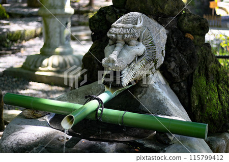 The Suwa Taisha Shrine 115799412