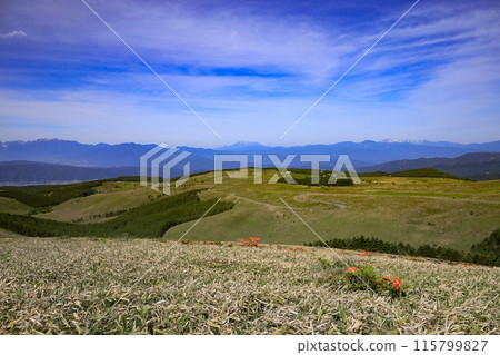 車山高原的壯麗景色 車山高原的壯麗景色 115799827