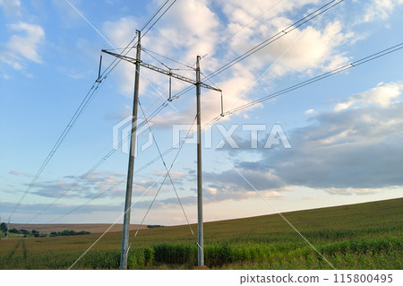 High voltage tower with electric power lines between green agricultural fields. Transfer of electricity concept. 115800495