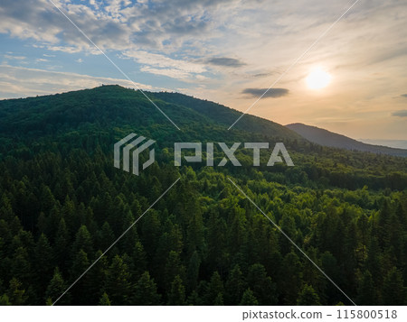 Aerial view of green pine forest with dark spruce trees covering mountain hills at sunset. Nothern woodland scenery from above Aerial view of green pine forest with dark spruce trees covering mountain hills at sunset. Nothern woodland scenery from above 115800518
