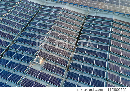 Aerial view of blue photovoltaic solar panels mounted on industrial building roof for producing green ecological electricity. Production of sustainable energy concept 115800531