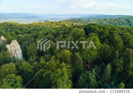 Aerial view of mountain hills covered with dense green lush woods on bright summer day. Aerial view of mountain hills covered with dense green lush woods on bright summer day. 115800538