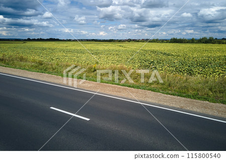 Aerial view of empty intercity road between green agricultural fields. Top view from drone of highway roadway 115800540