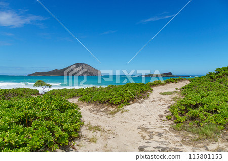 The path goes towards the sea, showcasing a distant isle 115801153