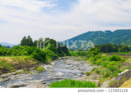 Rural scenery in early summer in Fujinomiya City (Yuno), Shizuoka Prefecture 115801226