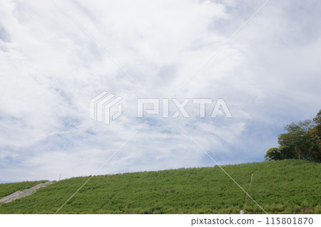 A hill with a great view and white clouds A hill with a great view and white clouds 115801870