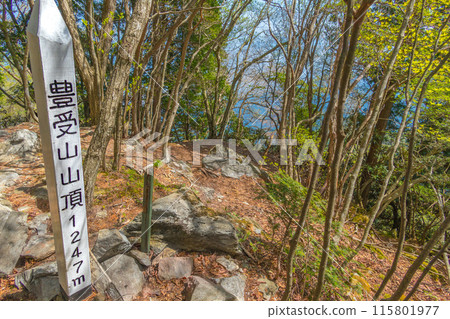 供奉豐受神社的豐受山頂(愛媛郡四國中央市富鄉町)*照片地點在作品評論區 供奉豐受神社的豐受山頂(愛媛郡四國中央市富鄉町)*照片地點在作品評論區 115801977