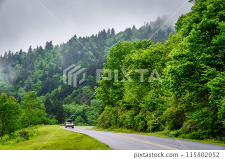 Blue Ridge Parkway 115802052