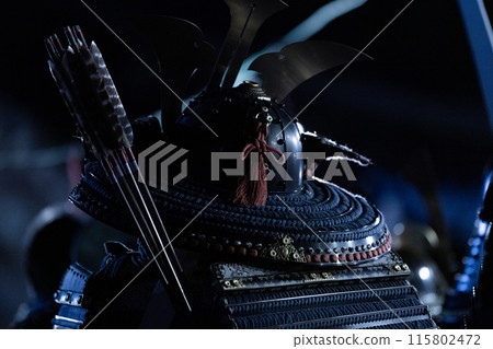 Armor Warrior 115802472