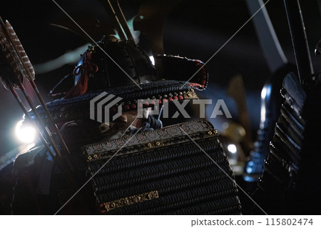 Armor Warrior 115802474