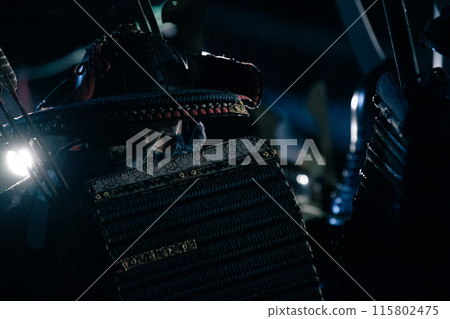 Armor Warrior 115802475