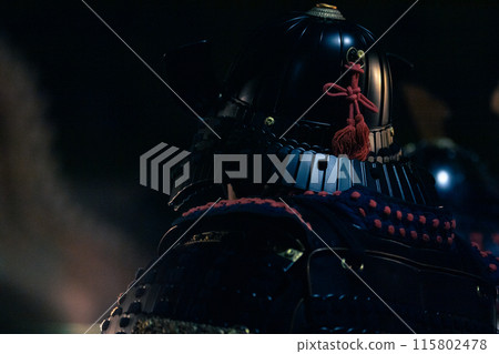 Armor Warrior 115802478