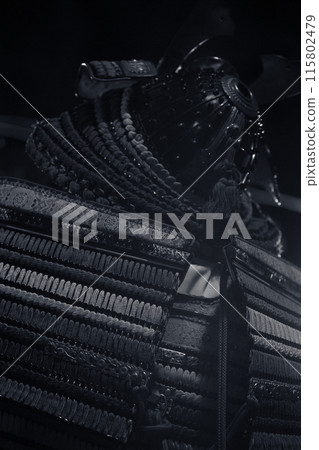 Armor Warrior 115802479