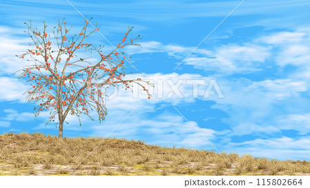 小山上的一棵柿子樹文本背景資料 小山上的一棵柿子樹文本背景資料 115802664