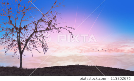A single persimmon tree on a small hill floats in the sunset. Background material for adding text 115802675