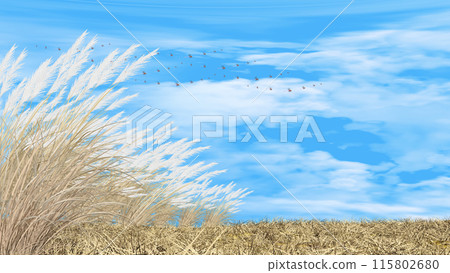 Hills covered with silver grass - Background material for adding text 115802680