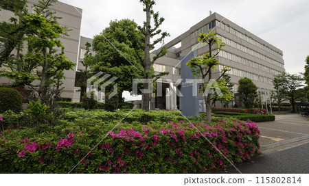 Wako City Hall Building 115802814