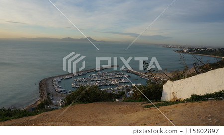 從觀景點看到的突尼斯灣西迪布賽義德 [突尼斯] 115802897