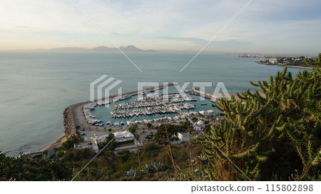 從觀景點看到的突尼斯灣西迪布賽義德 [突尼斯] 115802898