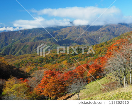 Autumn view from Karatoge Pass in Okuchichibu Autumn view from Karatoge Pass in Okuchichibu 115802910