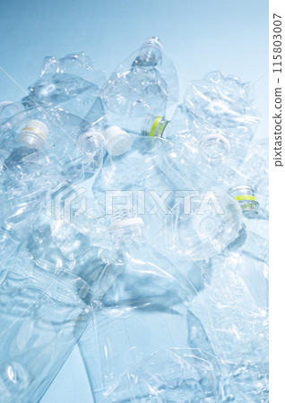 Crushed PET bottle Crushed PET bottle 115803007