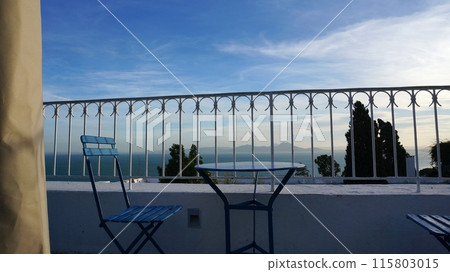 從陽台上欣賞突尼斯灣的景色 [西迪布賽義德，突尼斯] 115803015