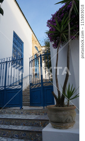 The blue and white city of Sidi Bou Said (Tunisia) The blue and white city of Sidi Bou Said (Tunisia) 115803018