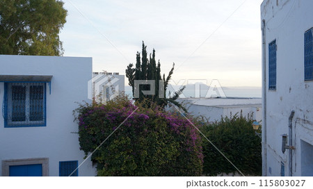 View of Sidi Bou Said (Tunisia) 115803027