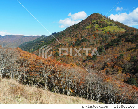 Autumn in Okuchichibu, Mt. Kasatori 115803166