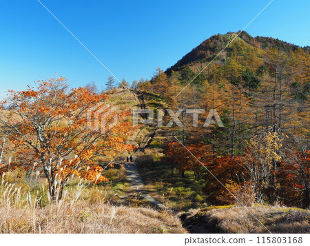 Autumn in Okuchichibu, Mt. Kasatori 115803168