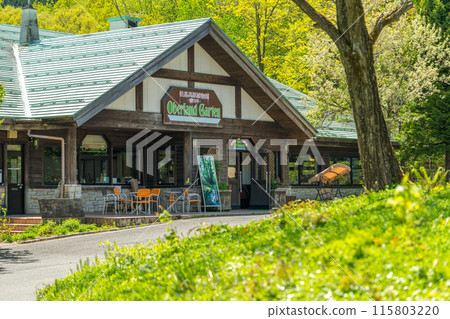A treasure trove of life! Tajima Plateau Botanical Garden (Muraoka-ku, Kami-cho, Mikata-gun, Hyogo Prefecture) *Please indicate the location of the photo in the comments section. 115803220