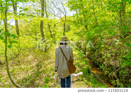 人生的寶庫!但馬高原植物園(兵庫縣三方郡上町村岡區)*照片位置在作品評論區 人生的寶庫!但馬高原植物園(兵庫縣三方郡上町村岡區)*照片位置在作品評論區 115803228