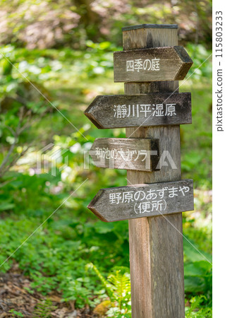 人生的寶庫!但馬高原植物園(兵庫縣三方郡上町村岡區)*照片位置在作品評論區 人生的寶庫!但馬高原植物園(兵庫縣三方郡上町村岡區)*照片位置在作品評論區 115803233