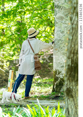 A treasure trove of life! Tajima Plateau Botanical Garden (Muraoka-ku, Kami-cho, Mikata-gun, Hyogo Prefecture) *Please indicate the location of the photo in the comments section. 115803236