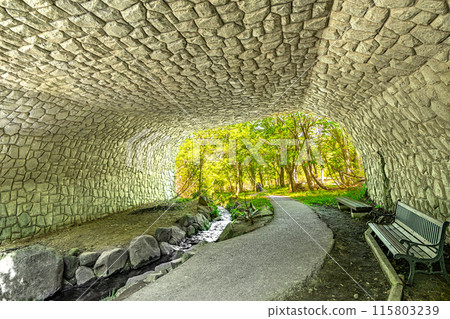 人生的寶庫！但馬高原植物園（兵庫縣三方郡上町村岡區）*照片位置在作品評論區 115803239