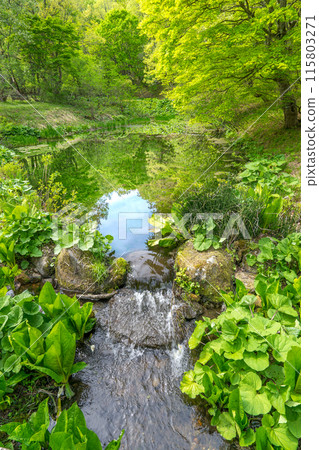 A treasure trove of life! Tajima Plateau Botanical Garden (Muraoka-ku, Kami-cho, Mikata-gun, Hyogo Prefecture) *Please indicate the location of the photo in the comments section. A treasure trove of life! Tajima Plateau Botanical Garden (Muraoka-ku, Kami-cho, Mikata-gun, Hyogo Prefecture) *Please indicate the location of the photo in the comments section. 115803271