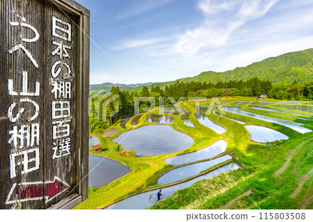 One of Japan's 100 Best Rice Terraces, Uheyama Rice Terraces (Ojiro-ku, Kami-cho, Mikata-gun, Hyogo Prefecture) *Please indicate the location of the photo in the comments section. One of Japan's 100 Best Rice Terraces, Uheyama Rice Terraces (Ojiro-ku, Kami-cho, Mikata-gun, Hyogo Prefecture) *Please indicate the location of the photo in the comments section. 115803508