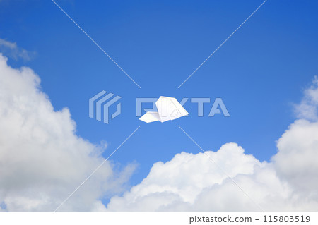 紙飛機在天上飛 115803519