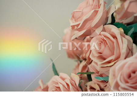 Bouquet of pink roses on the background of the rainbow Bouquet of pink roses on the background of the rainbow 115803554