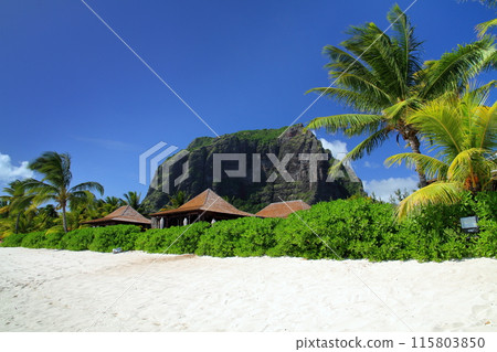 "The Lady of the Indian Ocean" island nation of Mauritius - a view of the World Heritage site of Mount Le Morne from a beach on the resort island of Brabant Peninsula 115803850