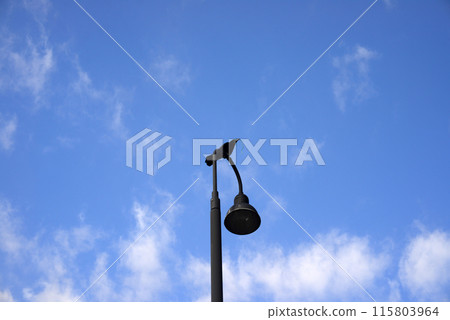 A crow perched on a street lamp in the Yokohama Bay Area A crow perched on a street lamp in the Yokohama Bay Area 115803964