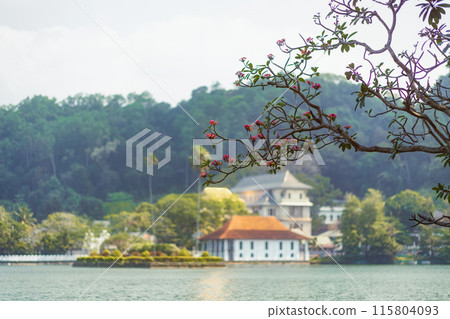 Defocused View Of Sacred Tooth Relic Temple Across Kandy Lake, Sri Lanka 115804093