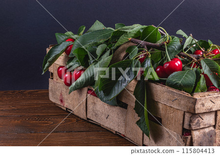 ripe cherries on branches in a box on the table close up 115804413