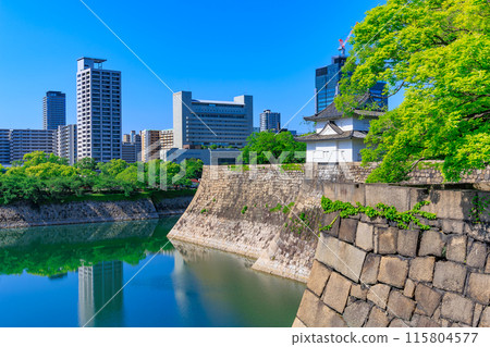 大阪府大阪市大阪城公園的外護城河和石牆 115804577